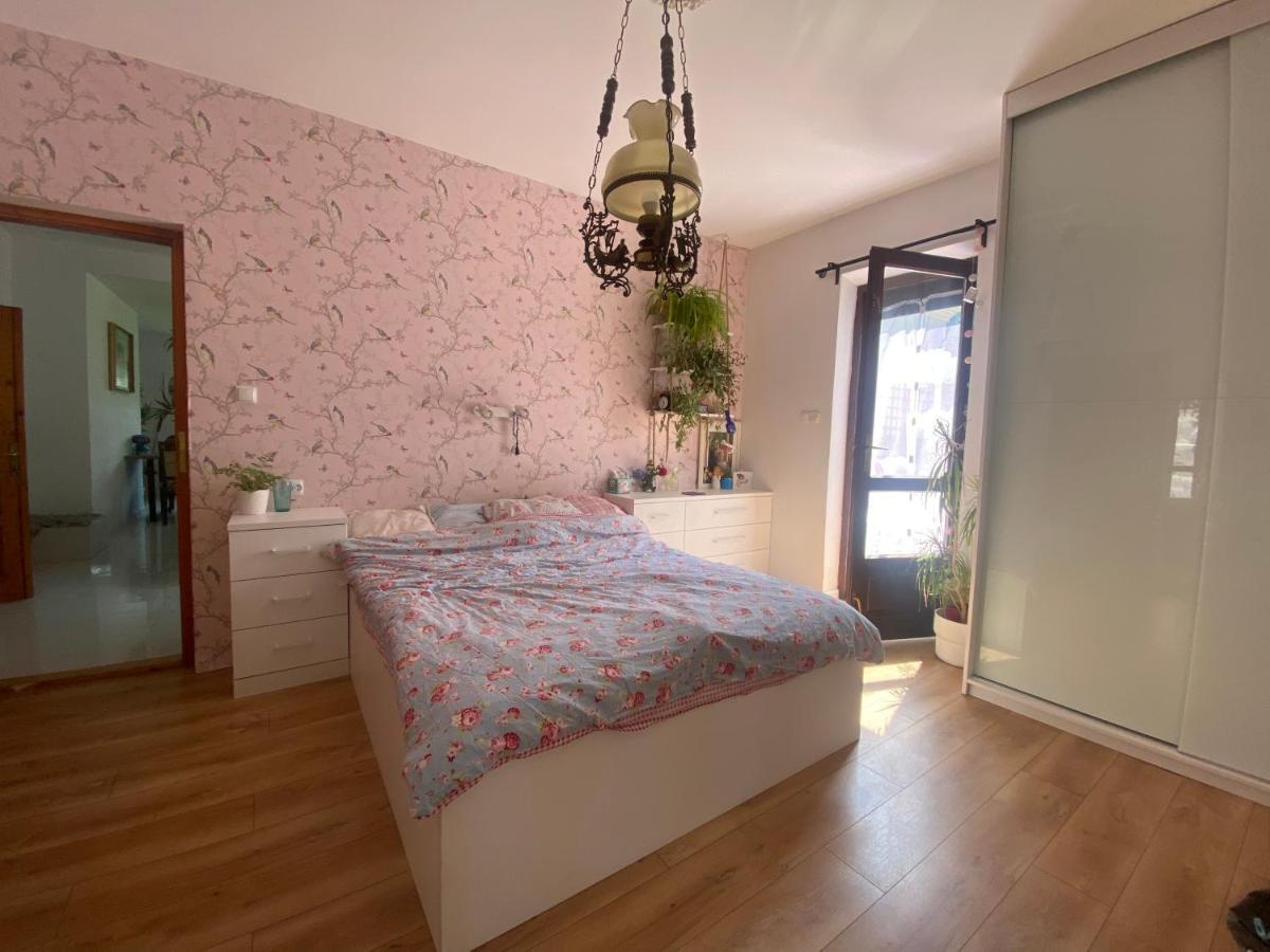 Zielone Zarabie Residence Мишлєніце Екстер'єр фото